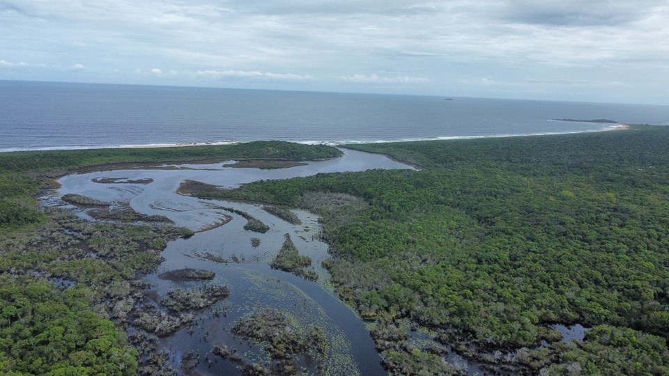 Trilhas e lagoa do Parque Estadual Paulo César Vinha estão abertas ao público novamente